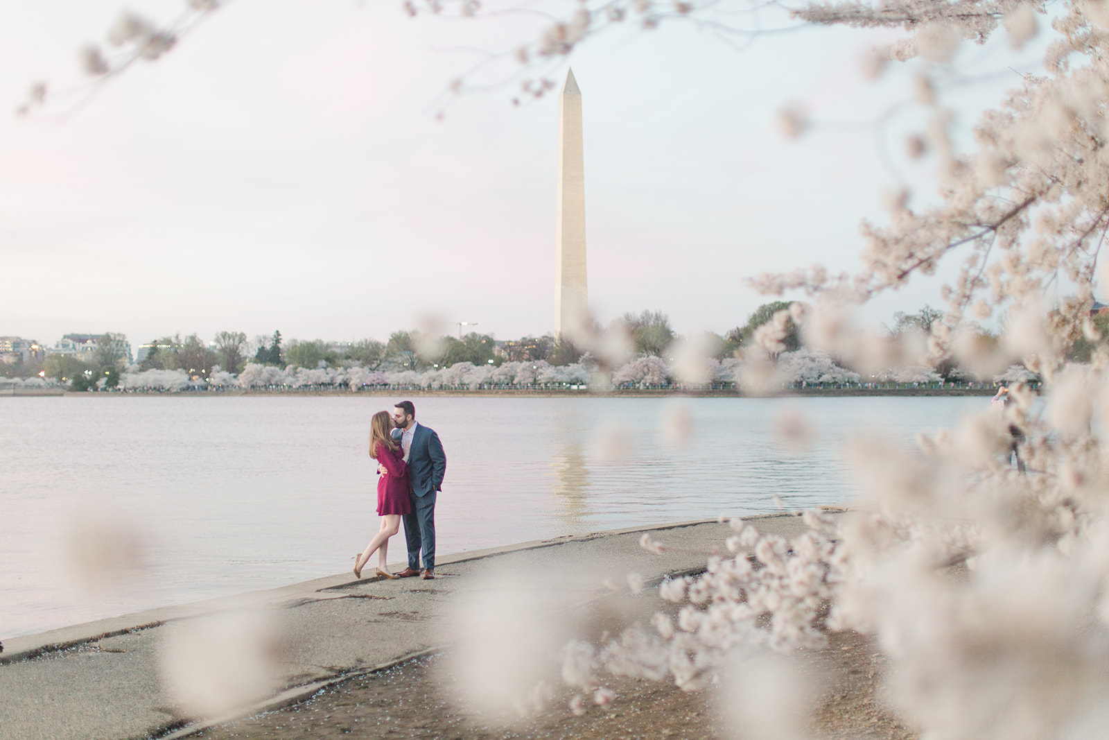 dc cherry blossom engagement photo