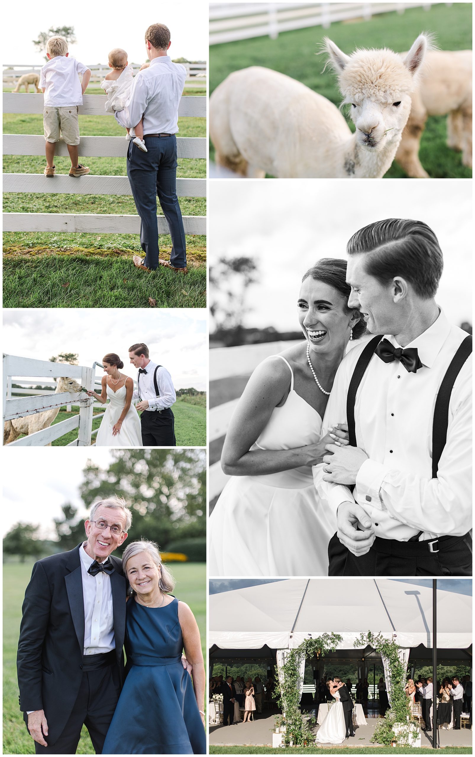 Luxury wedding photographer in Maryland